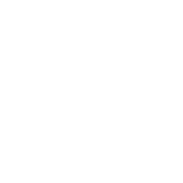 sE Electronics