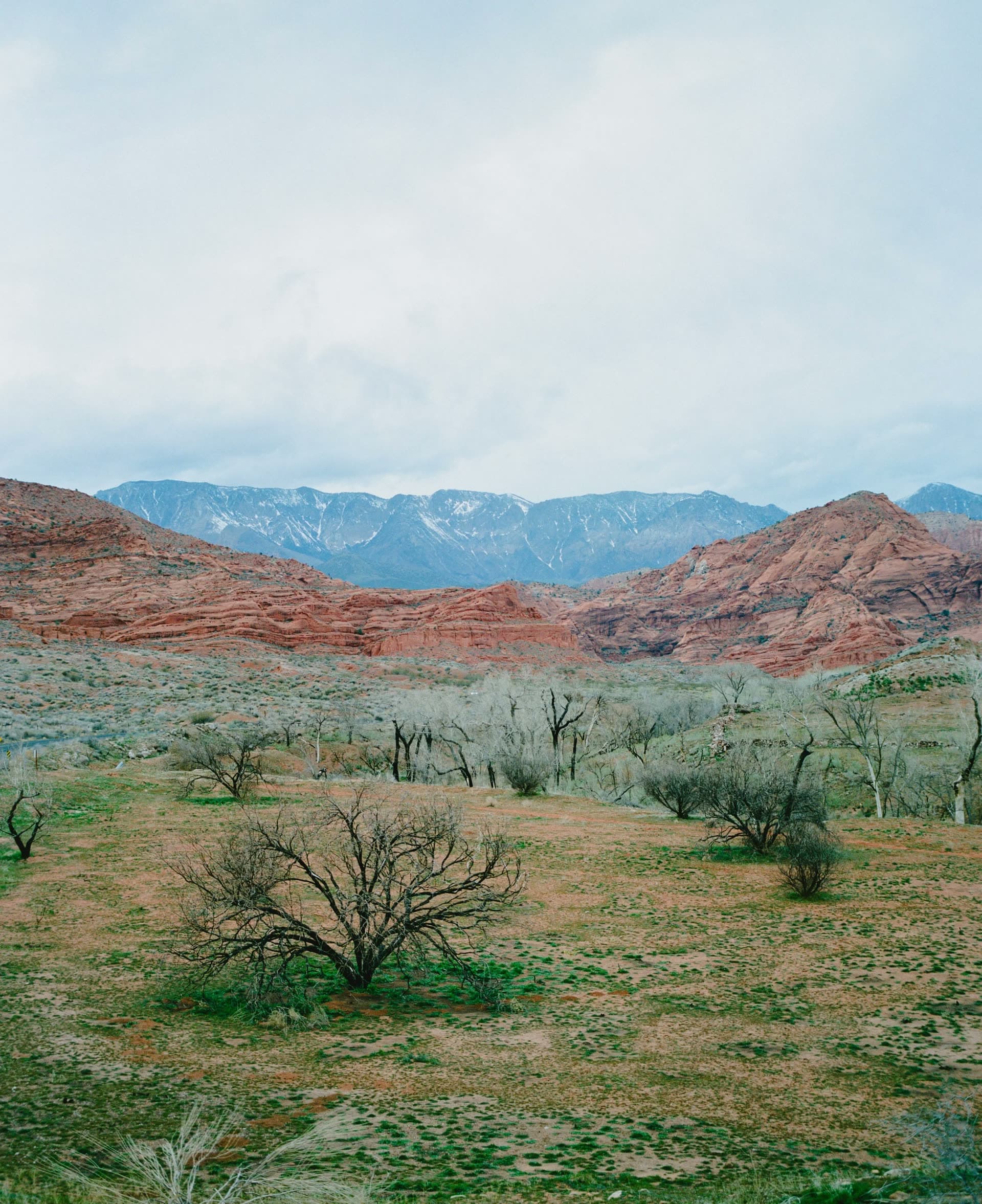 Visit Utah, Zion